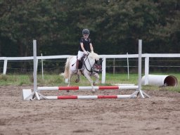 IMG_8003_web